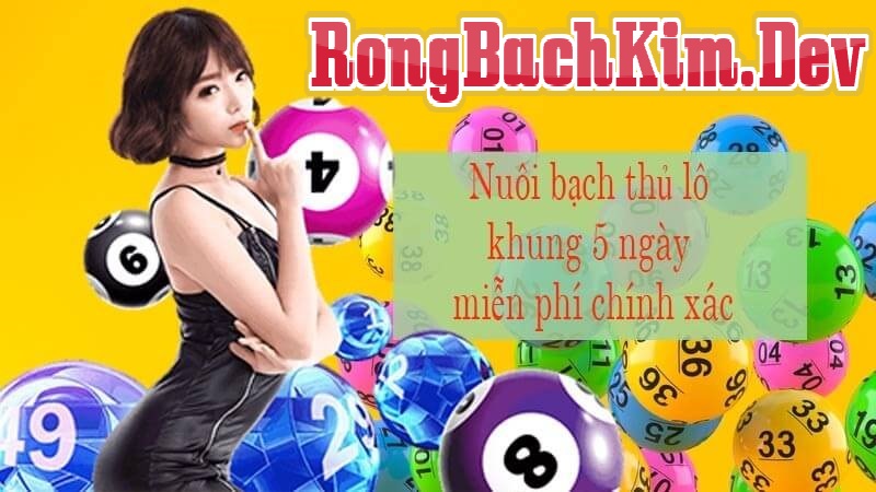 Bạch Thủ Lô Khung 5 Ngày Theo Rồng Bạch Kim - An Toàn và Tin Cậy