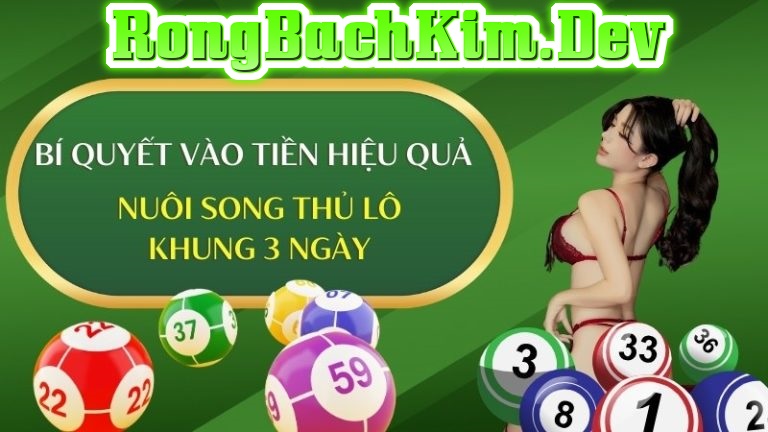 Quản Lý Vốn Khi Chơi Song Thủ Lô Khung 3 Ngày