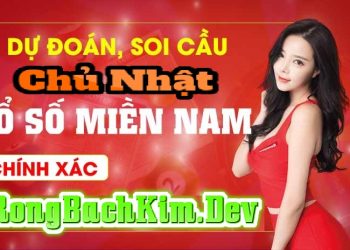 Soi Cầu XSMN Chủ Nhật Dự Đoán Rồng Bạch Kim 247, 666, 888 Chính Xác Nhất