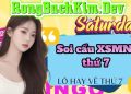 Soi cầu XSMN Thứ 7 Dự đoán XS Hồ Chí Minh, Long An, Bình Phước, Hậu Giang cùng Rồng Bạch Kim