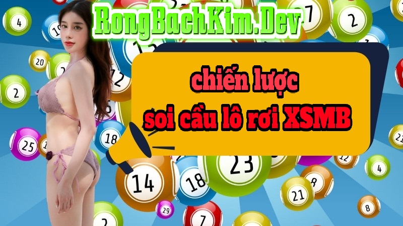 chiến lược soi cầu lô rơi XSMB chiến lược soi cầu lô rơi XSMB